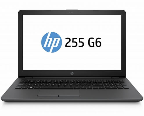 Ноутбук HP 255 G6 1XN66EA зависает